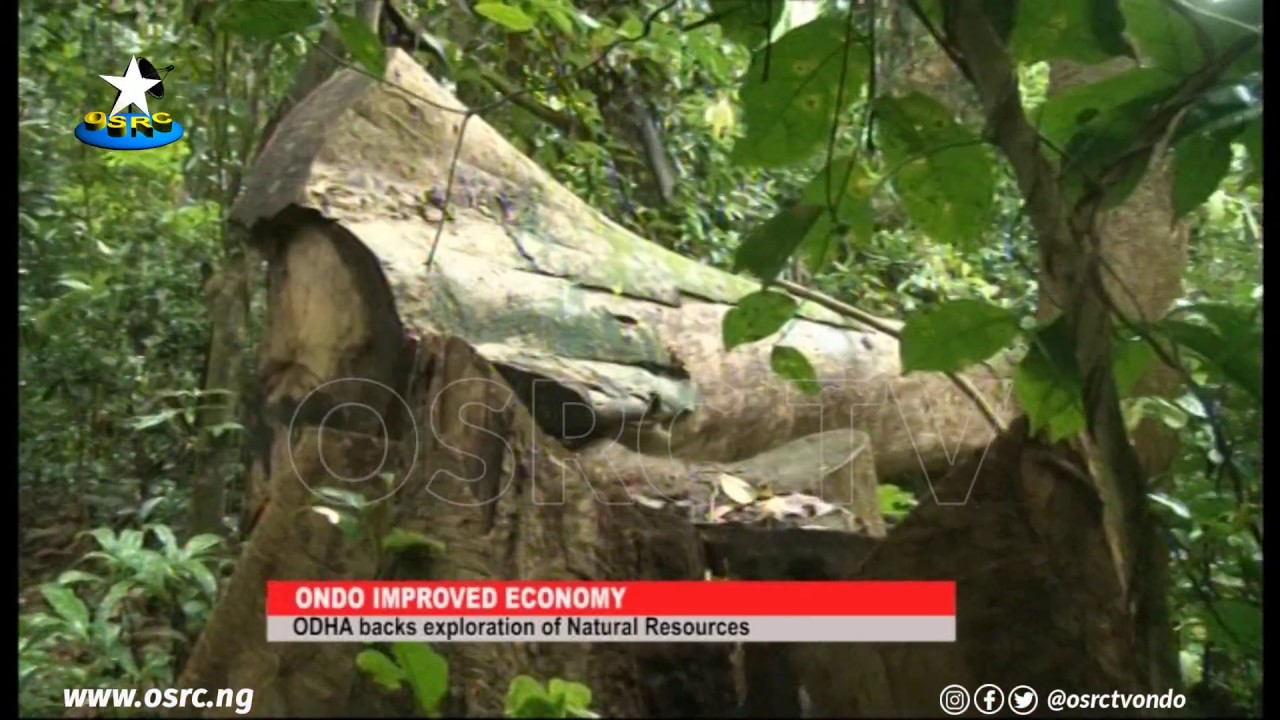 Improved Economy: Ondo Assembly backs Exploration of Natural Resources