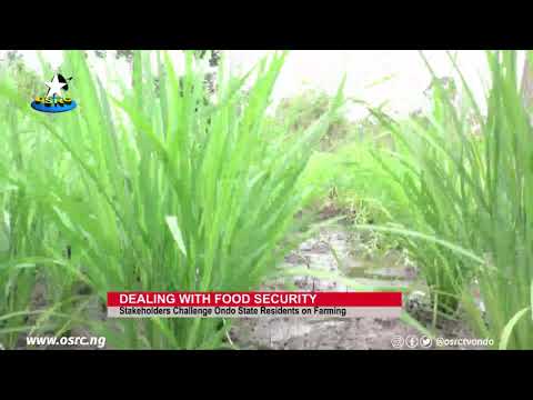 COVID-19: Stakeholders challenge Ondo residents on farming to prevent food crisis