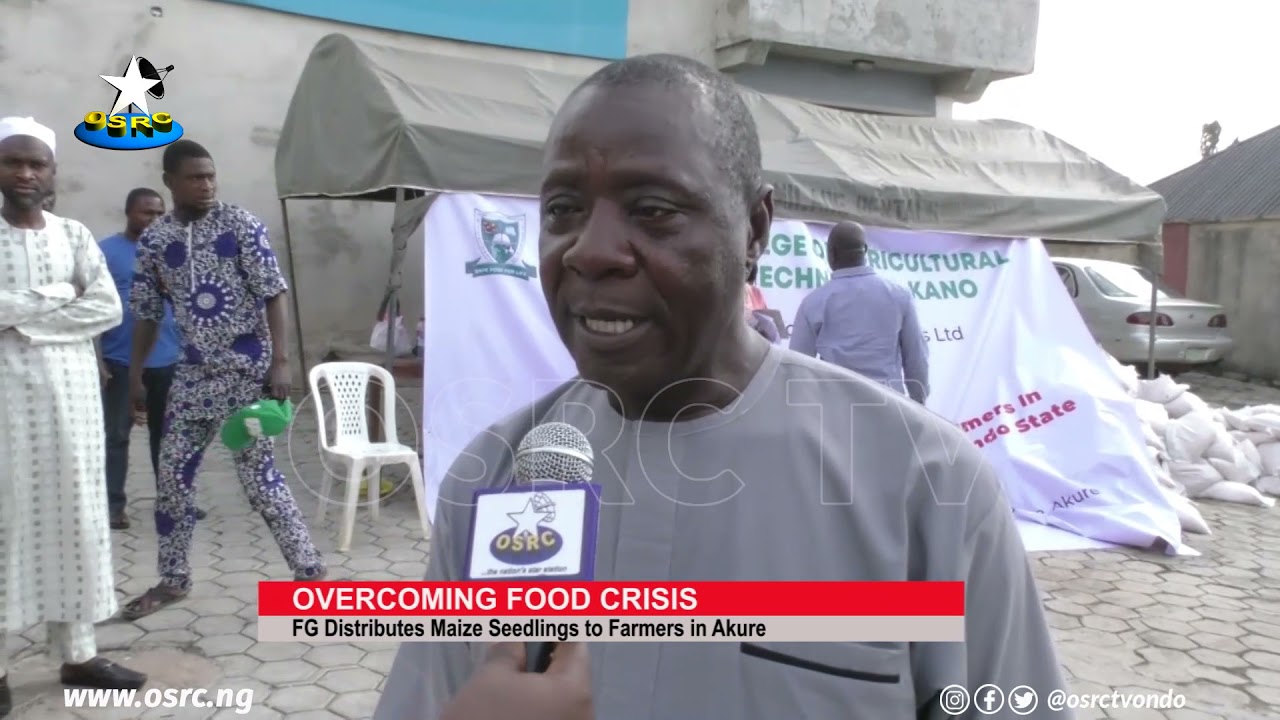 FG Distributes Maize Seedlings to Farmers in Akure