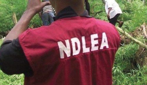 As NDLEA busts skucchies factory in Ogun; arrests Church officials, 2 ladies in Fentanyl syndicate raid in Delta