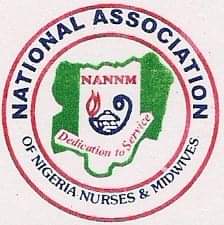 Missing placenta: Ondo Nurses Association distances self from arrested suspects