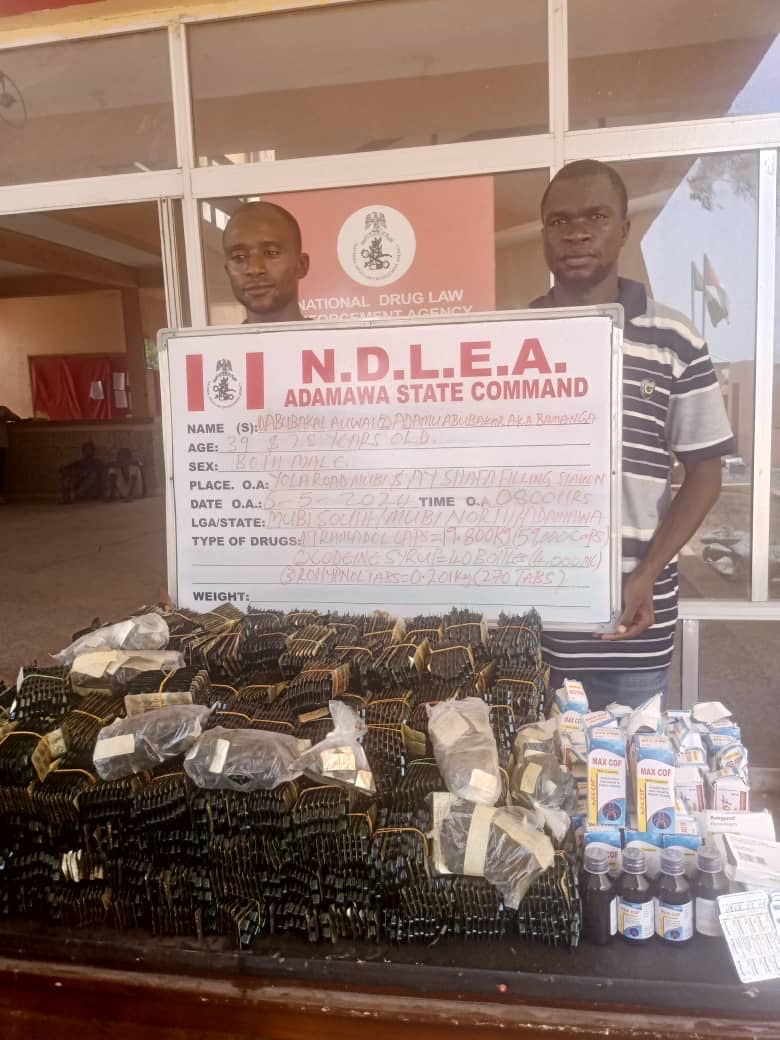 NDLEA intercepts 3 trailer loads of opioids, seizes 3.5million pills, 344,000 codeine bottles. Arrests 75-year-old grandpa in Ekiti, 70-year-old grandma in Benue for illicit drugs dealing; destroys 11, 636.185kg cannabis in Edo forest